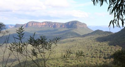 Mt Solitary IMG_5874 400px