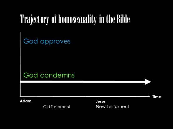 Homosexuality trajectory