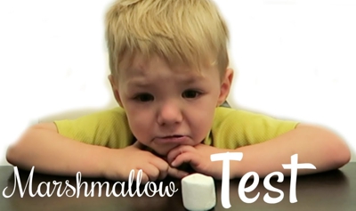 The Marshmallow Test 2 400px