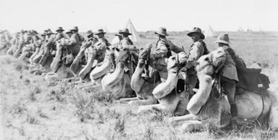 Troops on camels preparing for the battle of Megiddo