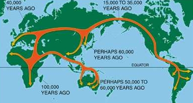 Out of Africa theory: all living humans originated from a small population who lived in Africa