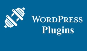 Plugins are used to add new features to a WordPress website