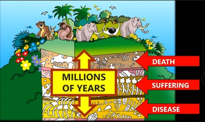 Theistic evolution places death and suffering before Adam’s sin