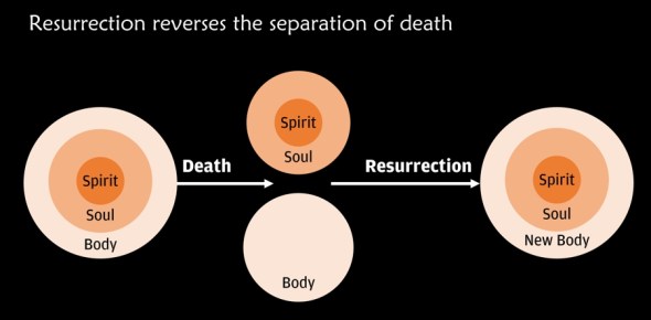 Resurrection reverses the separation of death, but with a better body