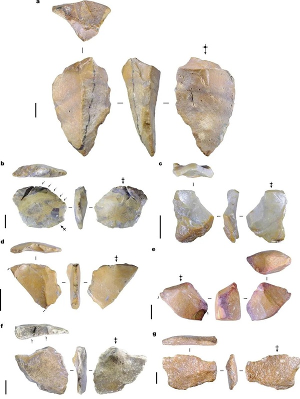 The seven stones tools found in Indonesia